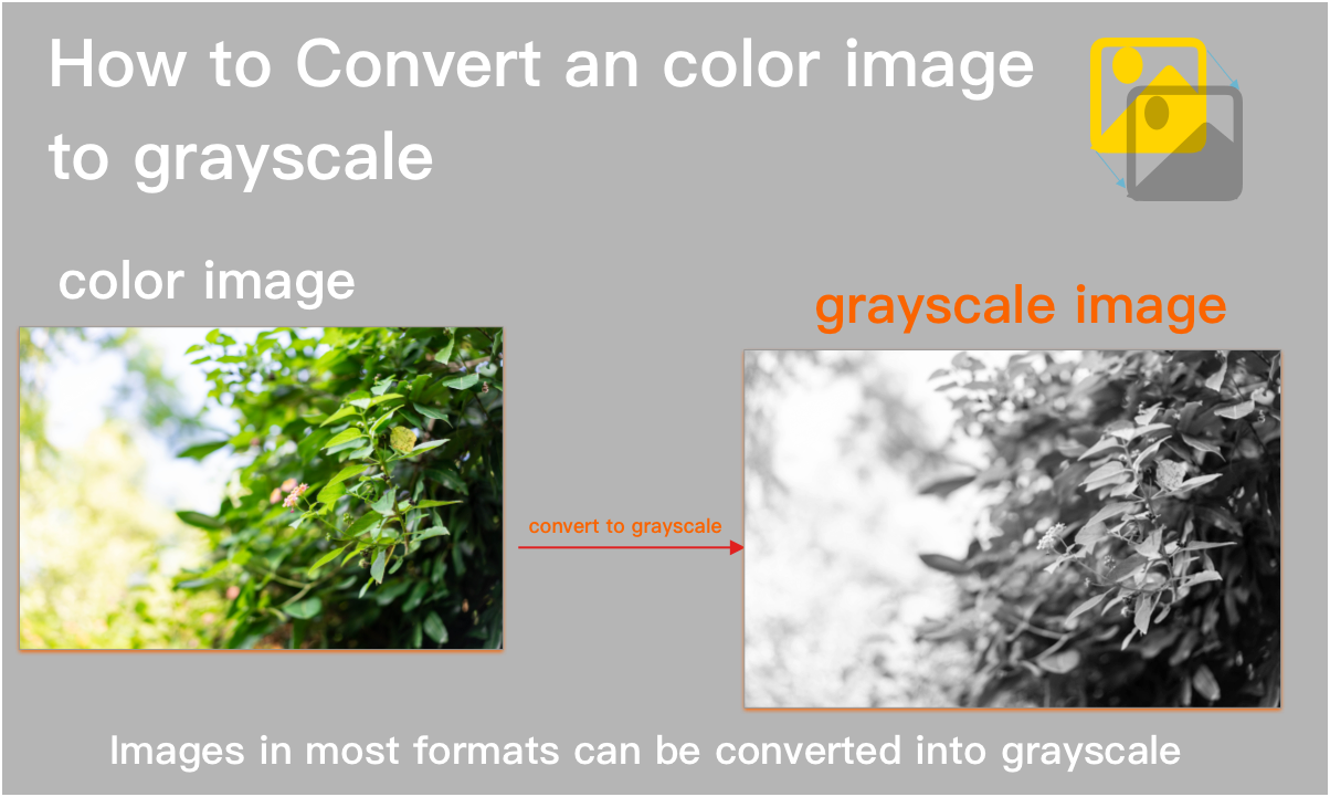 How to convert a color image to grayscale