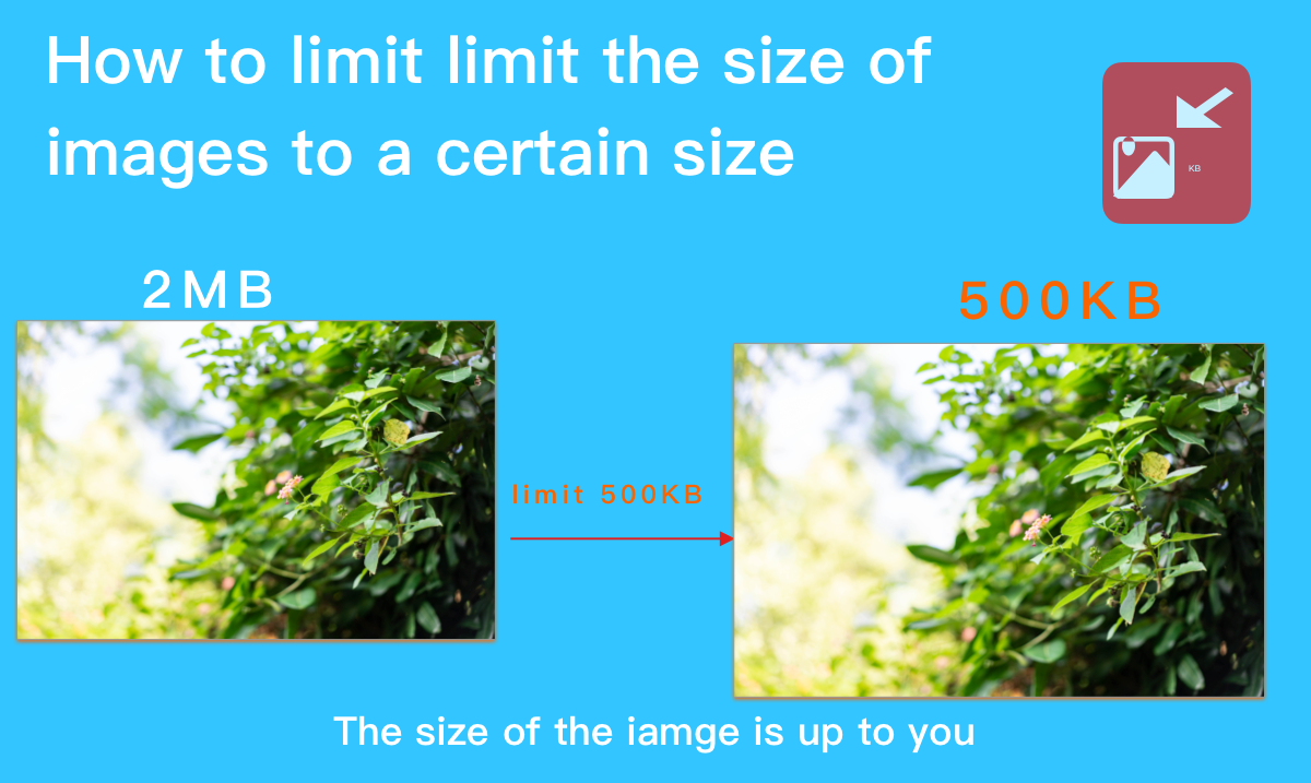 How to limit image to a certain size